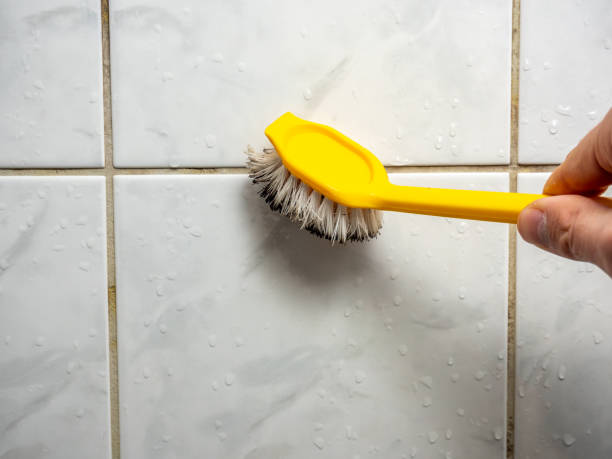 Best Local Mold Removal Service  in Poipu, HI