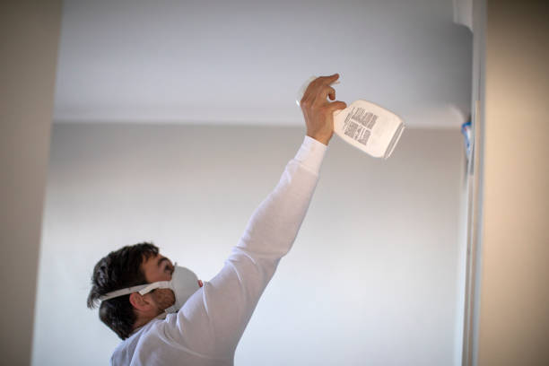 Best Commercial Mold Removal  in Poipu, HI