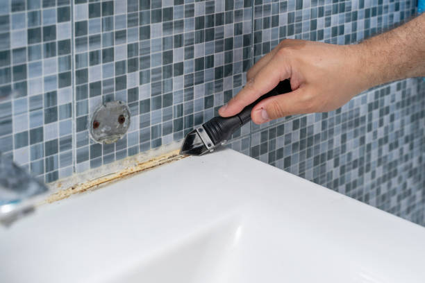 Best Mold Remediation  in Poipu, HI
