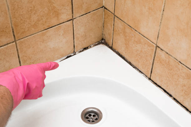 Home Mold Removal in Poipu, HI